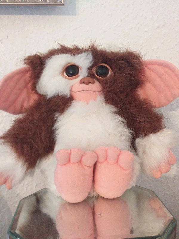 gizmo teddy